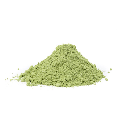 Alfalfa (Medicago sativa)