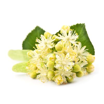 Floare de tei