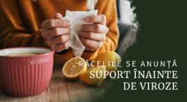 Suport înainte de sezonul virozelor: când își face simțită prezența răceala