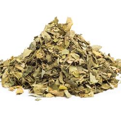 MORINGA TULPINI+FRUNZE - plantă