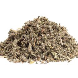 Salvia (Salvia officinalis) - plantă medicinală
