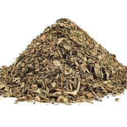  Busuioc tulpini+frunze