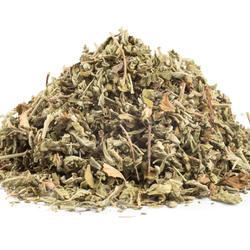 DAMIANA - planta