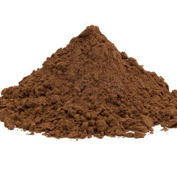 REISHI ciupercă BIO - praf