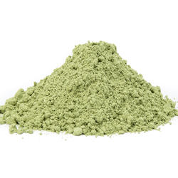 ALFALFA, LUCERNA (Medicago sativa) - praf