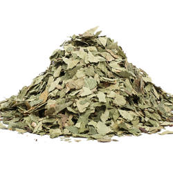 MESTEACĂN TULPINI+FRUNZE (Folium betulae) - plantă