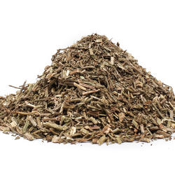 VERBINĂ (Herba verbenae) - plantă