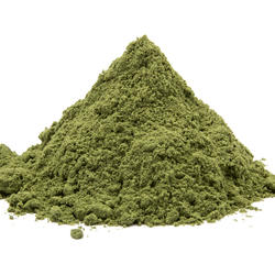 GRÂU VERDE BIO - pulbere
