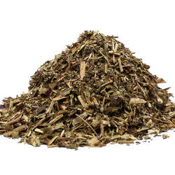 PUFULIȚA CU FLORI MICI (Epilobium parviflorum) - plantă