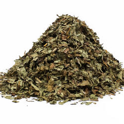 Păpădie tulpini+frunze (Taraxacum officinale) - plantă