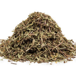 CIMBRIȘOR (Thymus serpyllum) - plantă