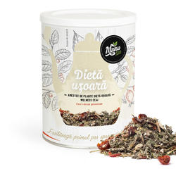 DIETĂ UȘOARĂ - ceai de plante 160g