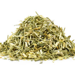 Sulfină galbenă (partea aeriană) - plantă
