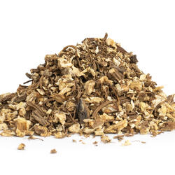 Angelica - rădăcină (Archangelica officinalis) 
