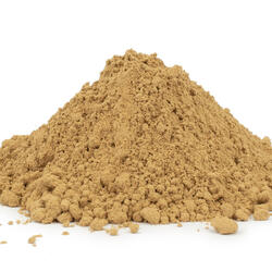 Ciuperca Maitake BIO (Grifola Frondosa) pulbere