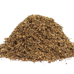 Tulsi BIO - planta (busuiocul sacru)