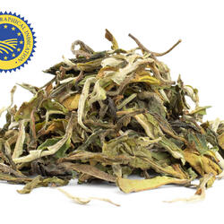 Darjeeling Moonlight Upper Fagu First Flush - ceai negru
