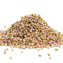 Flori de iarba neagră  (Calluna vulgaris flos) - plantă medicinală