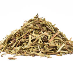 GOTU KOLA FÂNTÂNA TINEREȚII - plantă