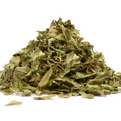 Verbena de lămâie tulpini+frunze - plantă