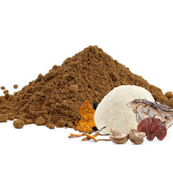 Complex adaptogen din 6 ciuperci BIO – pulbere