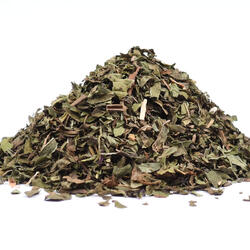 MENTĂ PIPERATĂ (Mentha piperita)