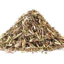 VERBINĂ (Herba verbenae) - plantă